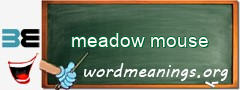 WordMeaning blackboard for meadow mouse